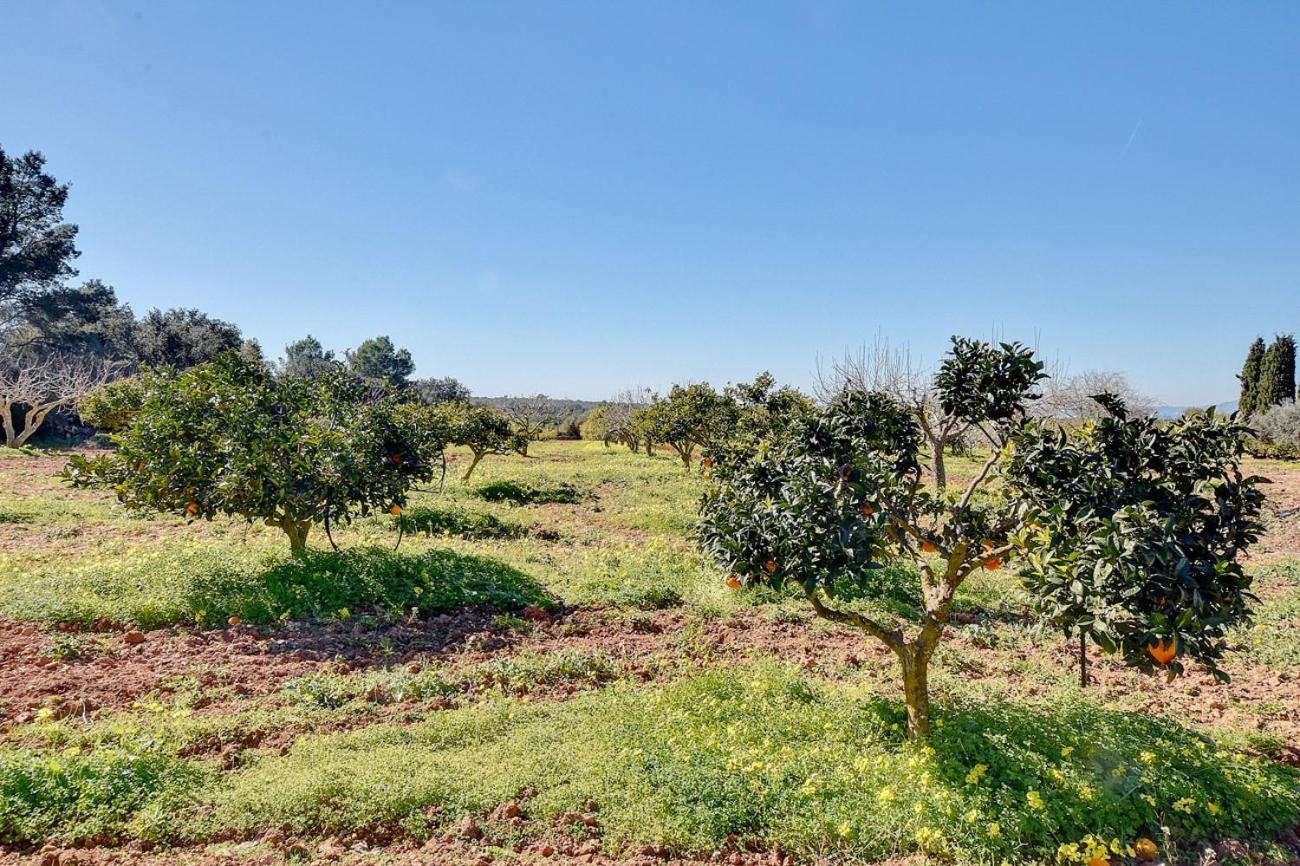 אלגידה Villa Monsebo By Slow Villas מראה חיצוני תמונה